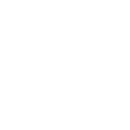 Values